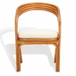 Safavieh Jennabrook Ratan Polyurethane Dining Chair in Natural / White