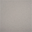 Safavieh Leeza Accent Table in Gray