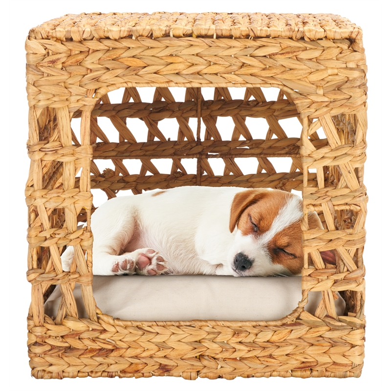 Safavieh Ivie Cotton Pet Accessories in Beige / Natural