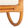 Safavieh Ivybelle Rattan and Linen Accent Chair in Natural / White
