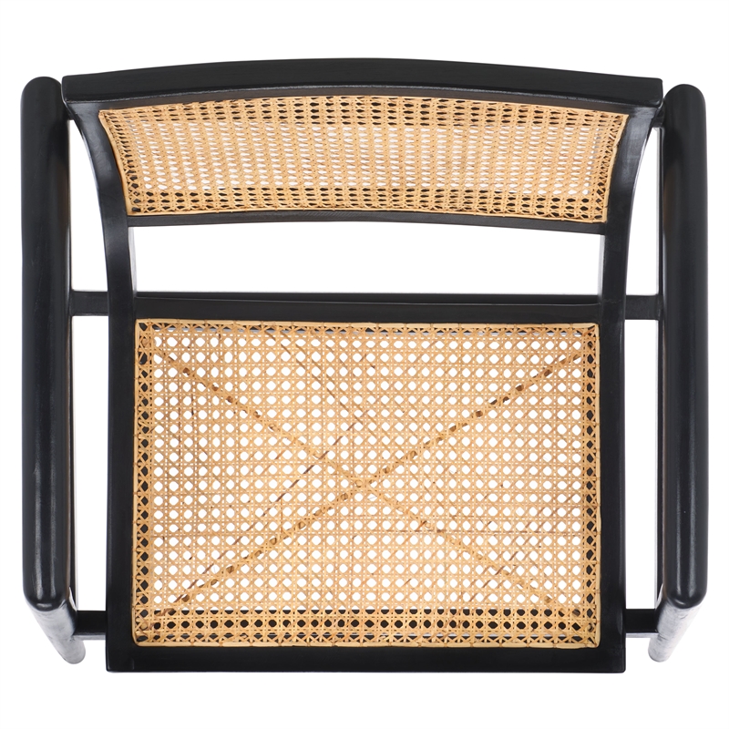 Safavieh Ender Rattan Accent Chair in Black / Natural