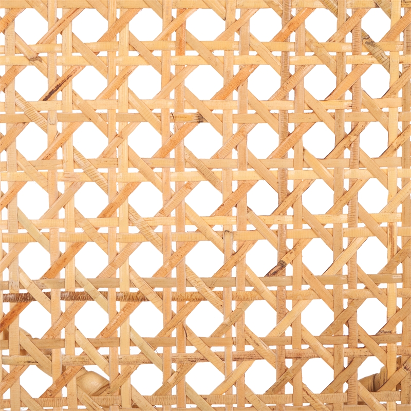 Safavieh Ender Rattan Accent Chair in Black / Natural