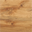 Safavieh Conall 2 Wood Drawer Nightstand in Oak