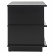 Safavieh Rodney Metal and Wood 2 Drawer Nightstand in Black