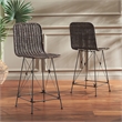 Safavieh Minerva Rattan and Iron Weaved Counter Stool in Brown / Black