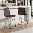 Safavieh Minerva Rattan and Iron Weaved Counter Stool in Brown / Black