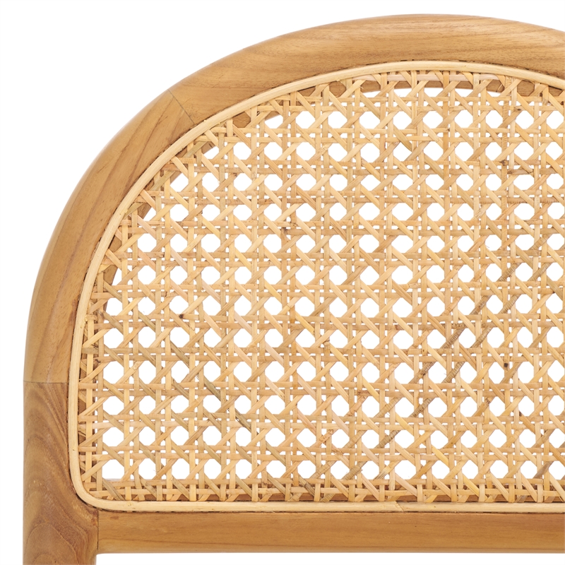 Safavieh Laylie Rattan And Leather Counter Stool in Brown / Natural