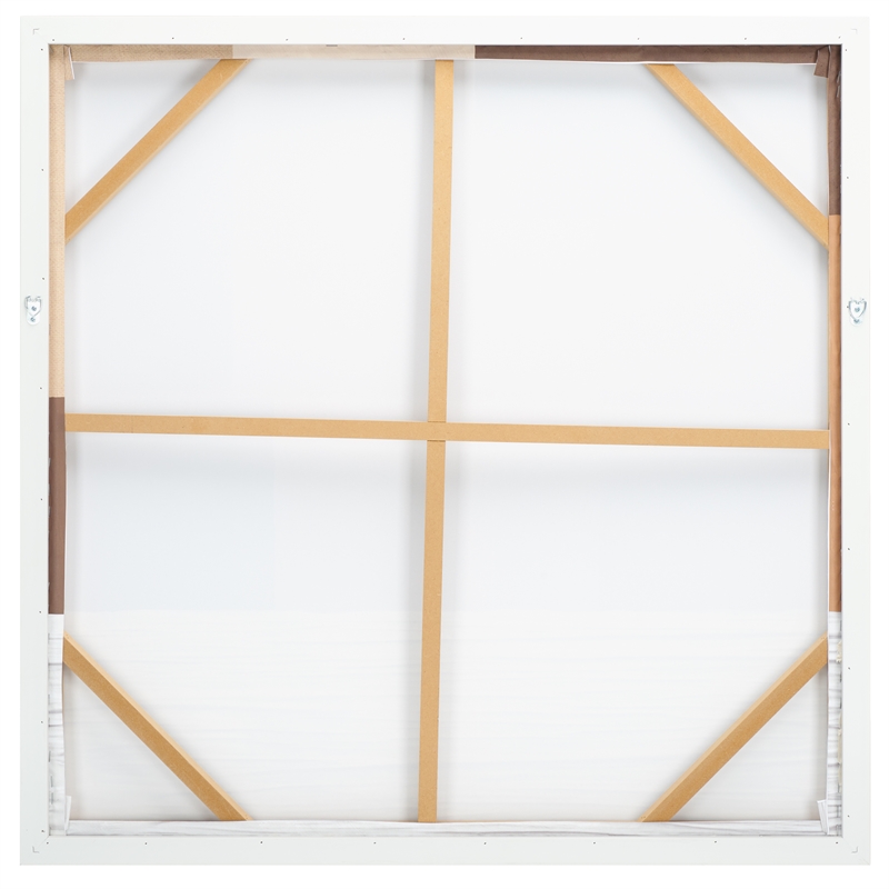 Safavieh Neutral Location Wood Framed Mixed Media Art in Brown/Off White