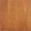 Safavieh Burris Wood Side Chair in Brown