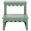 Safavieh Haven Wood 2 Step Stool  in Sage
