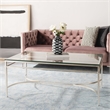 Safavieh Abelard Iron and Tempered Glass Cocktail Table in Silver