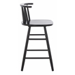 Safavieh Jay Wood Counter Stool in Black