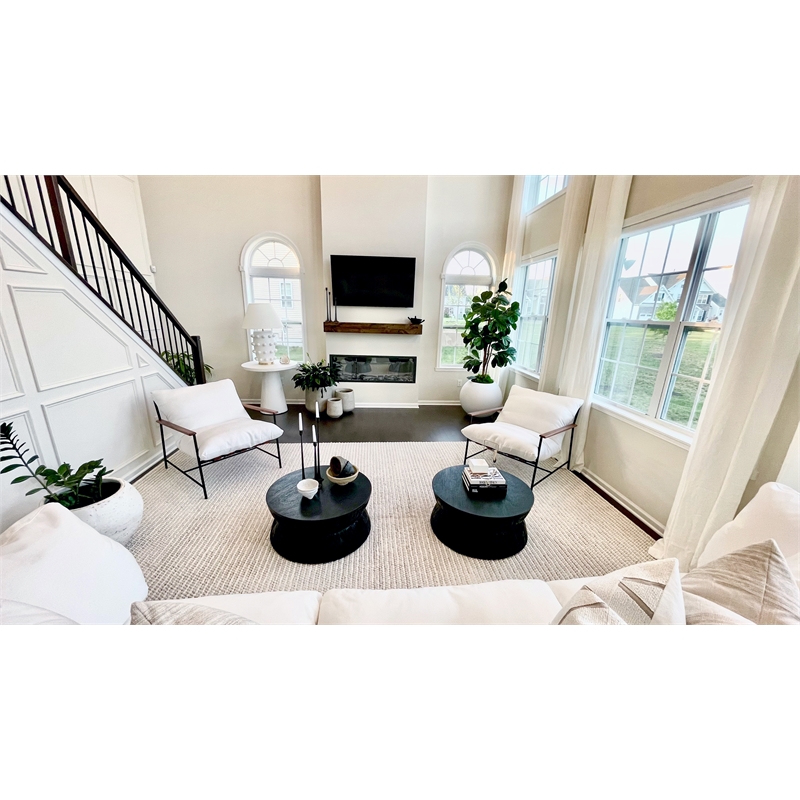 Safavieh Alecto Wood Round Coffee Table in Black