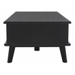 Safavieh Rori Wood and Metal 2 Door Coffee Table in Black