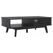 Safavieh Rori Wood and Metal 2 Door Coffee Table in Black
