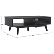 Safavieh Rori Wood and Metal 2 Door Coffee Table in Black