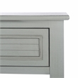 Safavieh Tate Wood and Metal 2 Drawer Console Table in Gray