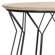 Safavieh Alcott Wood and Metal End Table in Light Gray