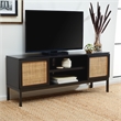 Safavieh Zadie 2 Shelf Wood Media Stand in Black / Natural