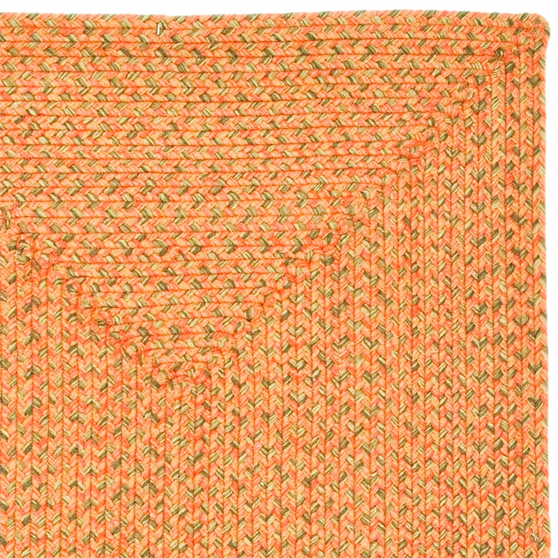 Safavieh Braided 2'-3