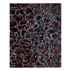 Safavieh Fiesta Shag 8'-0&quot x 10'-0&quot Power Loomed Rug in Turquoise / Multi-Color
