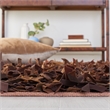 Safavieh Leather Shag 5'-0