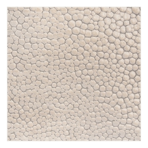 Safavieh Meadow 100 6'-7&quot x 6'-7&quot Polyester Power Loomed Rug in Beige
