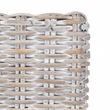 Safavieh Nancy Rattan Accent Chair w/ Cushion in White / Gray