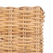 Safavieh Nancy Rattan Accent Chair w/ Cushion in White / Natural