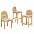 Safavieh Tojo Cane Round Back Wood Bar Stool in Natural / White