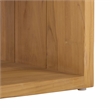 Safavieh Cove Wood Outdoor Coffee Table in Natural