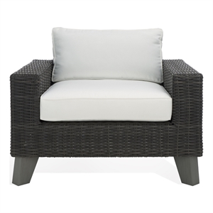 Safavieh Margarita Wicker Aluminum Patio Chair in Dark Gray / White