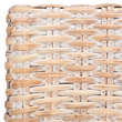Safavieh Cabana Rattan Arm Chair in White