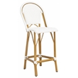 Safavieh Ford Aluminum Barstool in White