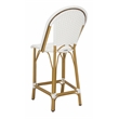 Safavieh Gresley Aluminum Counter Stool in White