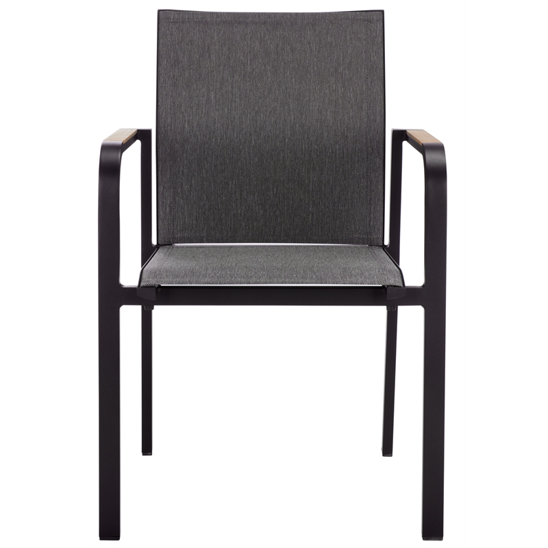 Safavieh Dexter Aluminum Armchair w/ Teak Set of 2 in Black