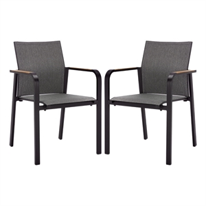 Safavieh Dexter Aluminum Armchair w/ Teak Set of 2 in Black
