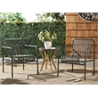 Safavieh Core Aluminum Armchair  in Gray