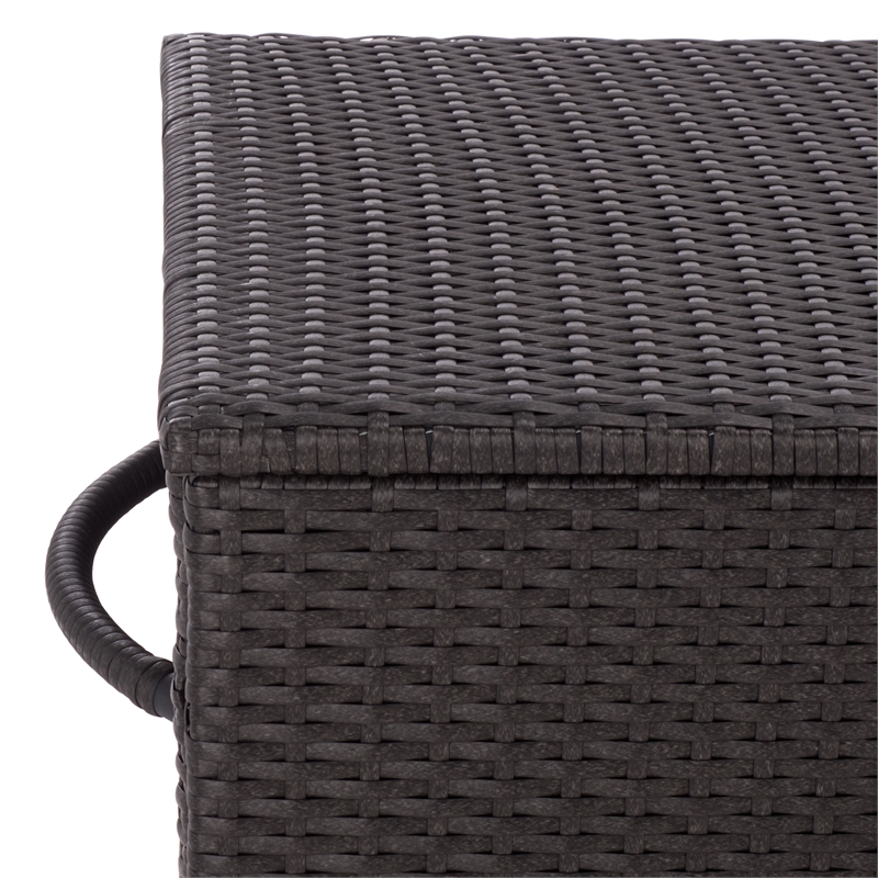 Safavieh Kent Metal and Rattan Cushion Box in Black