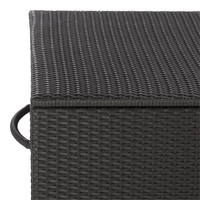 Safavieh Kent Large Metal and Rattan Cushion Box in Black