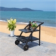 Safavieh Lodi Wood Tea Cart in Black