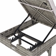 Safavieh Cam Wicker and Rattan Sunlounger in Gray / Gray