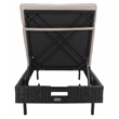Safavieh Cam Wicker and Rattan Sunlounger in Black / Light Gray