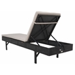 Safavieh Cam Wicker and Rattan Sunlounger in Black / Light Gray