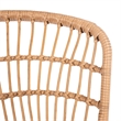 Safavieh Prenza 3Pc Rattan and Steel Lounger Set in Natural / Navy