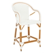 Safavieh California Metal Counter Stool w/ Arm  in White