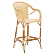 Safavieh California Metal Bar Stool w/ Arms in Natural