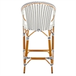 Safavieh California Metal Bar Stool w/ Arms in White / Navy