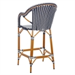 Safavieh California Metal Bar Stool w/ Arms in Navy / White