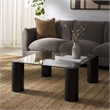 Safavieh Robbie Square Glass Coffee Table in Black